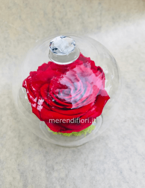 Rose eterne stabilizzate 