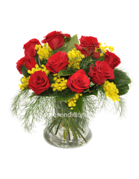 Rose rosse mimosa