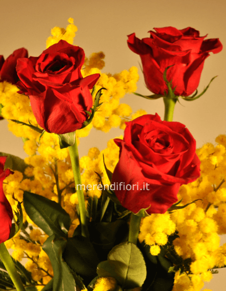 Mazzo mimosa e rose rosse  lunghe 