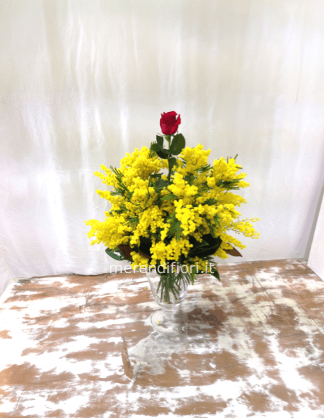 Rosa e mimosa 